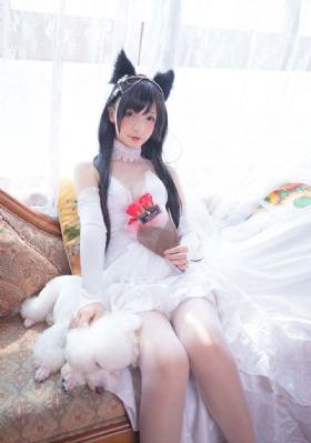 完美世界樱花动漫免费观看_HD高清完整版